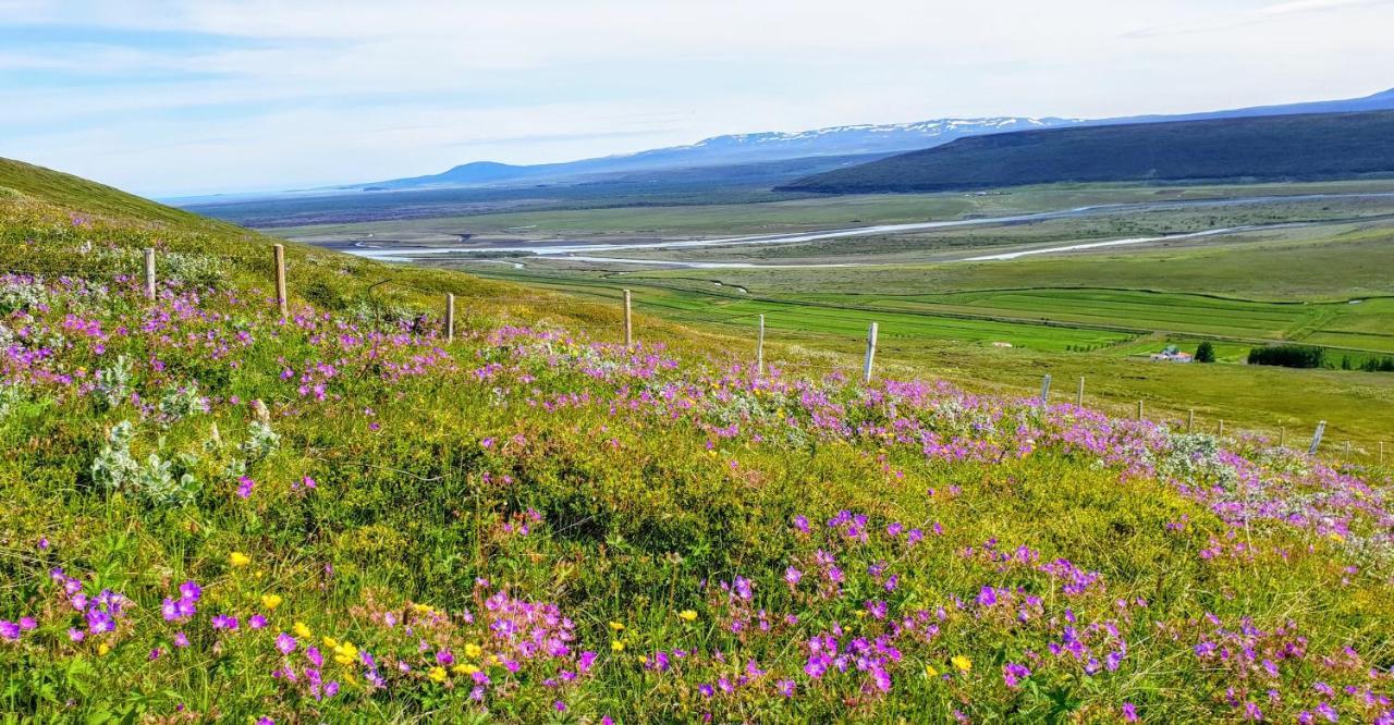 Svartaborg Húsavík Exteriör bild