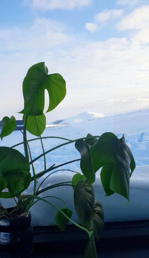 Svartaborg Húsavík Exteriör bild
