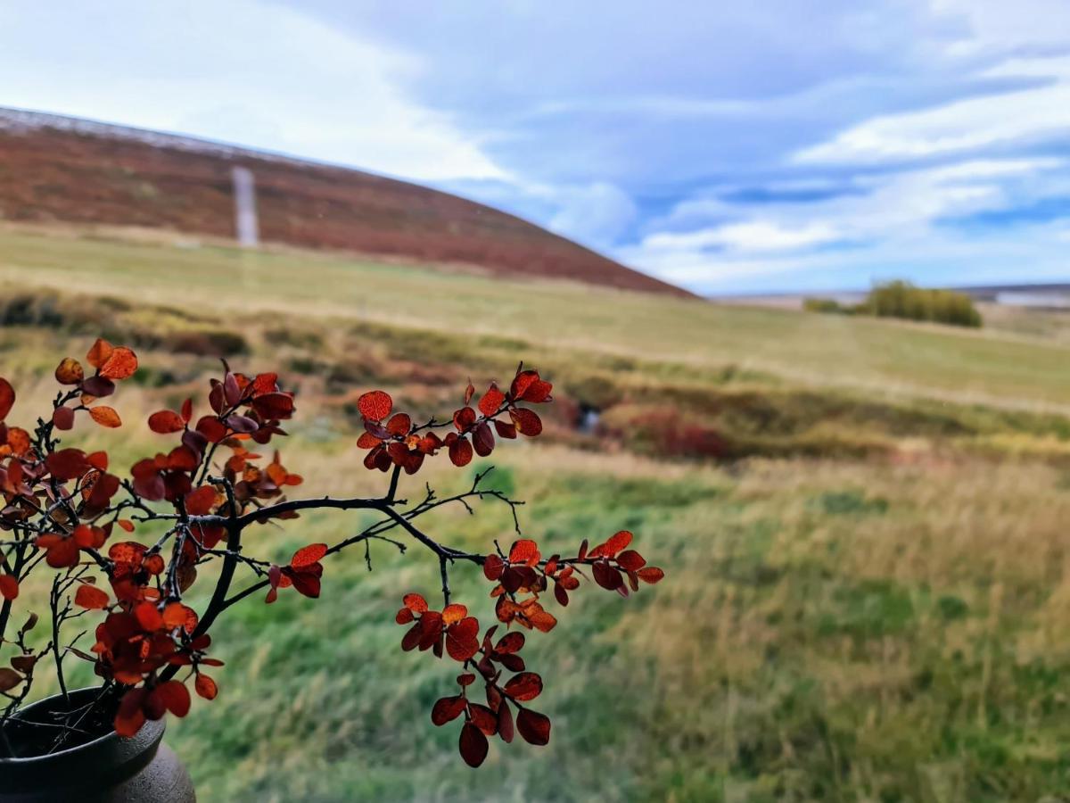 Svartaborg Húsavík Exteriör bild